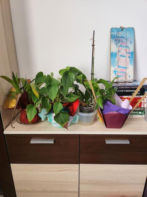 Modern Apartment. Best Location Sofia Luaran gambar